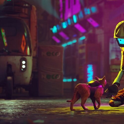 نسخه ایکس باکس بازی Stray