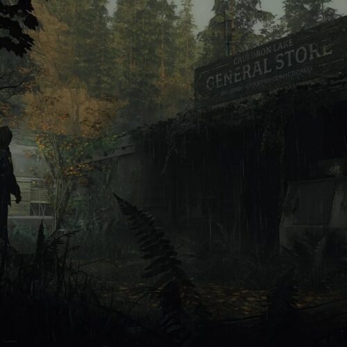 محیط های باز بازی Alan Wake 2
