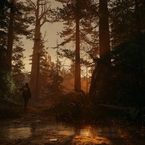 ایده بازی Alan Wake 2