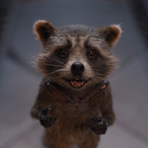 اسپین آف نگهبانان کهکشان