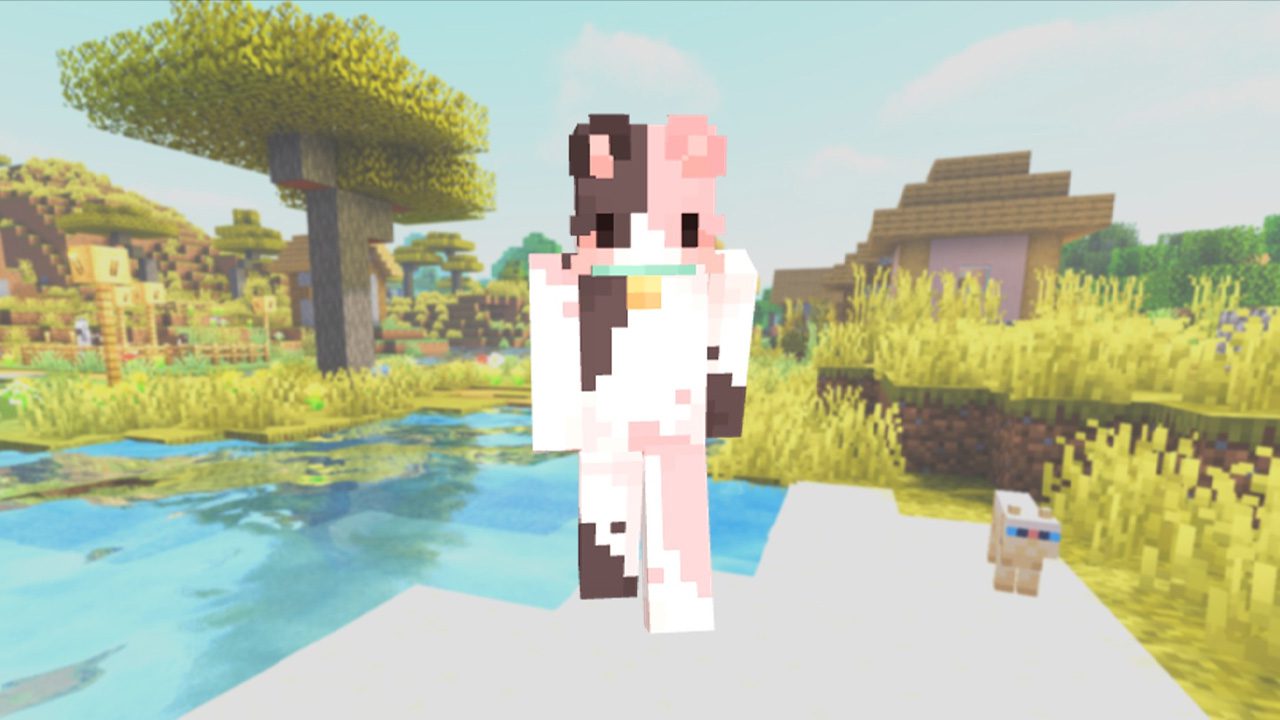 بهترین اسکینهای ماینکرافت