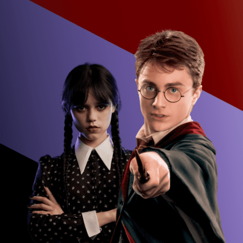 هری پاتر و ونزدی