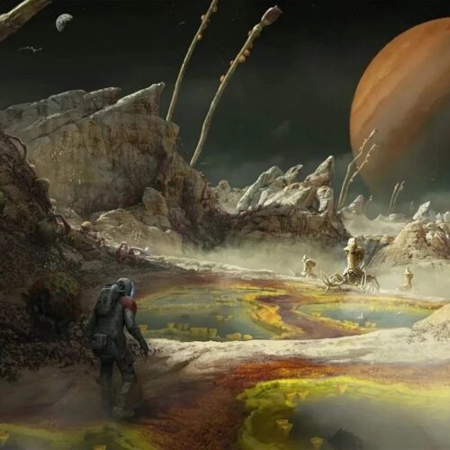 تعداد بازیکنان استارفیلد