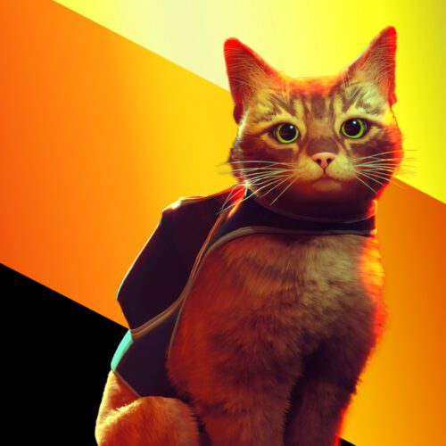 انیمیشن اقتباسی Stray