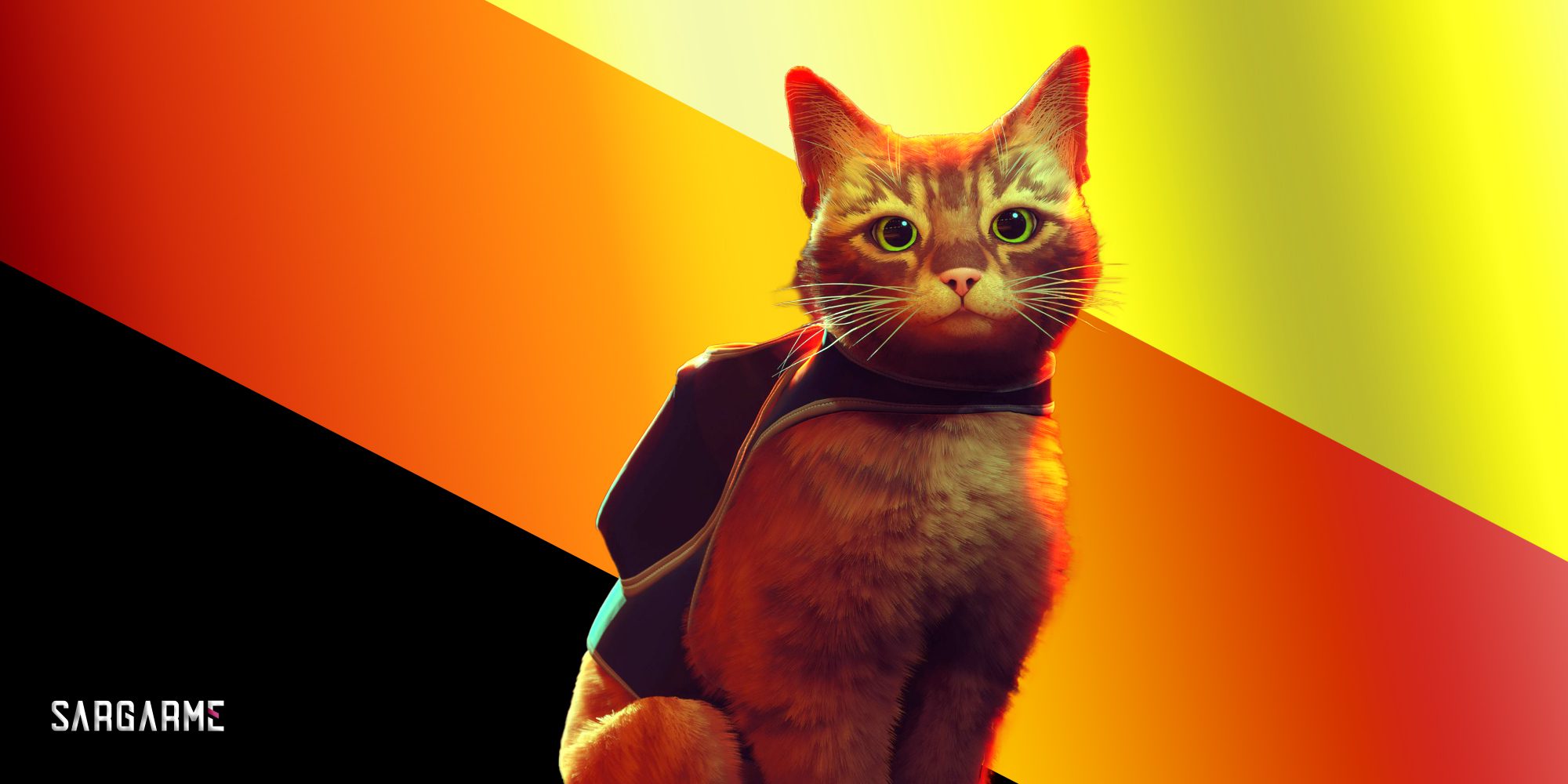 انیمیشن اقتباسی Stray