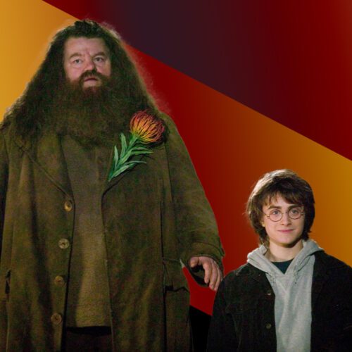 هاگرید در هری پاتر