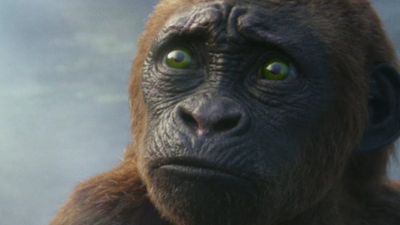 فرزند کونگ در فیلم Godzilla x Kong