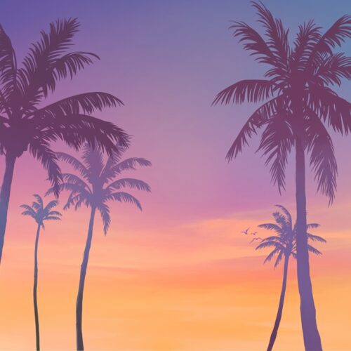 تصاویر جدید GTA 6