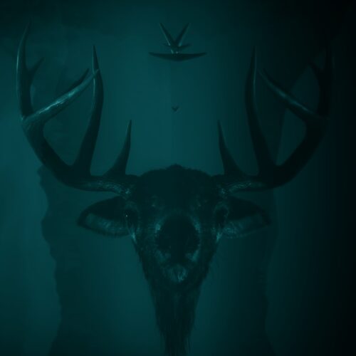 مجموعه Alan Wake