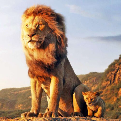 بازیگر فیلم Mufasa
