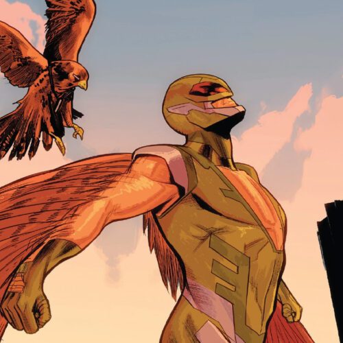 بازیگر جدید فالکون