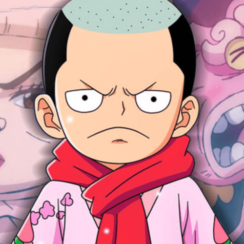 قدرت میوه های شیطانی در وان پیس