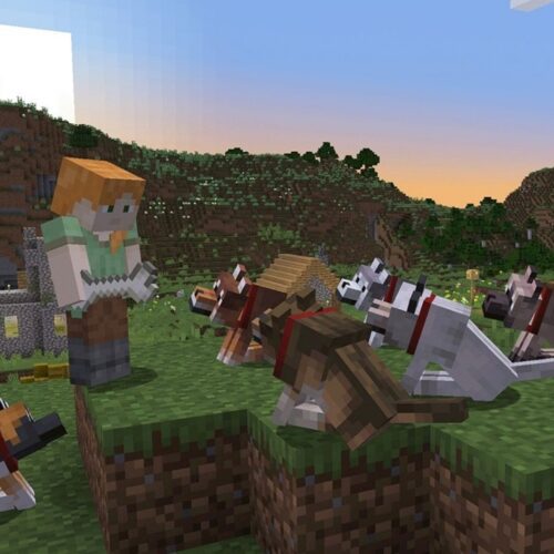 تصاویر ماینکرفت