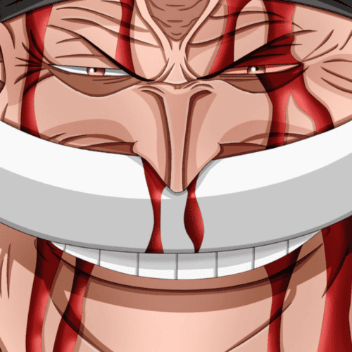 مقاوم ترین شخصیت های انیمه وان پیس