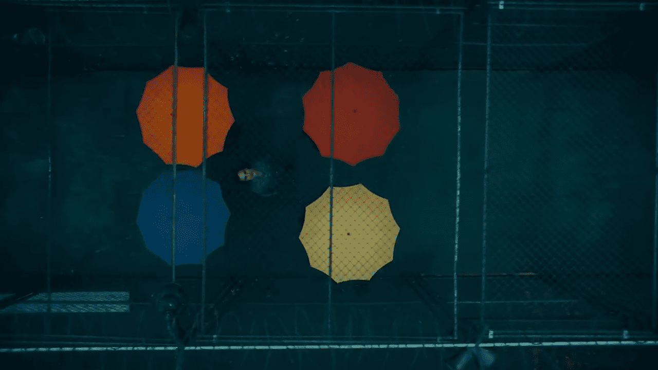 موشکافی تریلر فیلم Joker 2