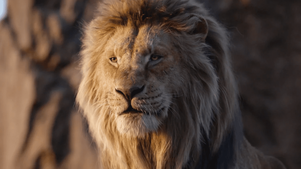 تصویر جدید فیلم Mufasa