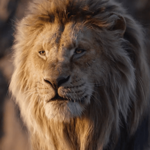 تصویر فیلم Mufasa: The Lion King