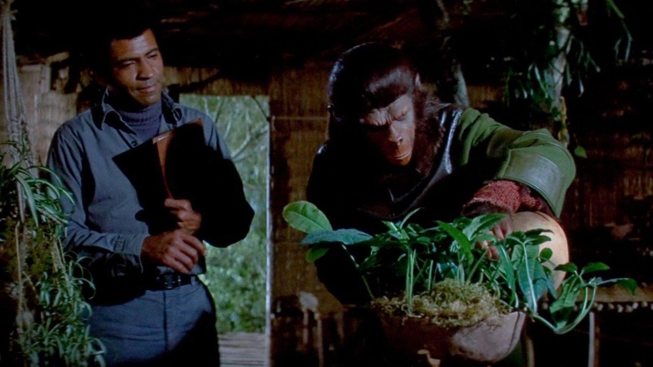 فیلمهای سیاره میمونها