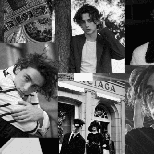 ده بازی برگزیده از بهترین فیلم های تیموتی شالامی در سینما