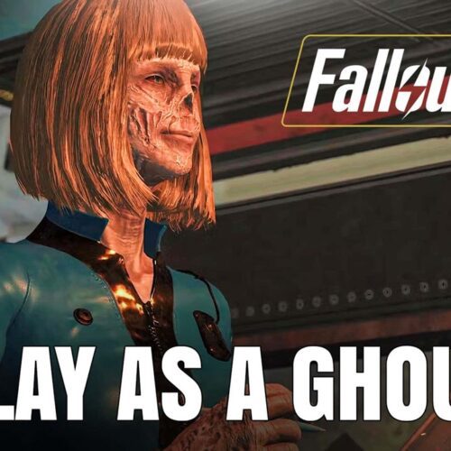 پلیرهای Fallout 76