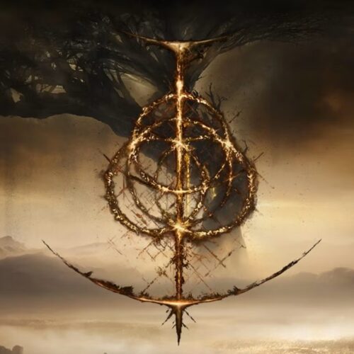 گیم پلی Elden Ring Shadow of The ErdTree