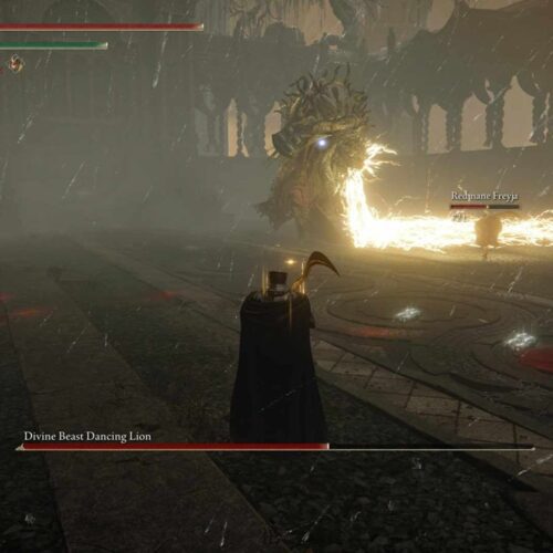 استریمر Elden Ring