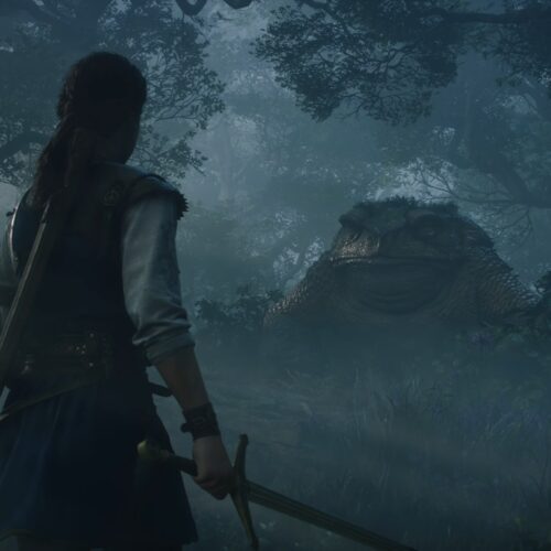 تمجید بازی Fable