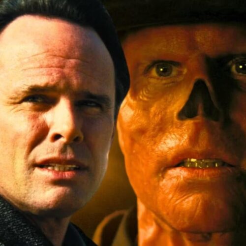 ستاره سریال Fallout