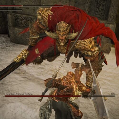 پلیر Shadow of the Erdtree