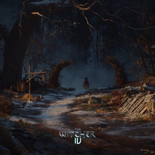 جهان The Witcher 4