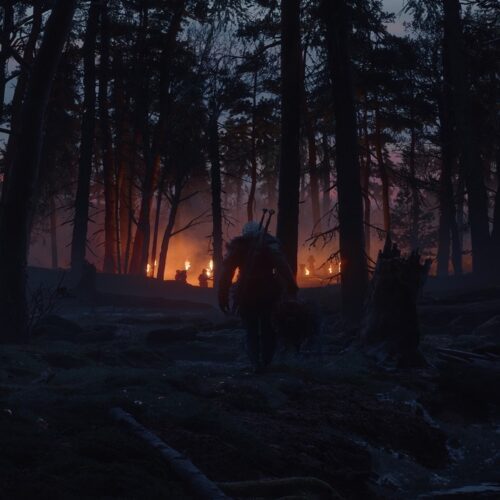 بازی The Witcher 4