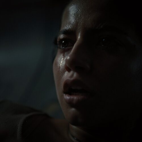کارگردان فیلم Alien: Romulus