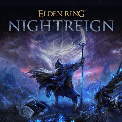 تست شبکه Elden Ring Nightreign