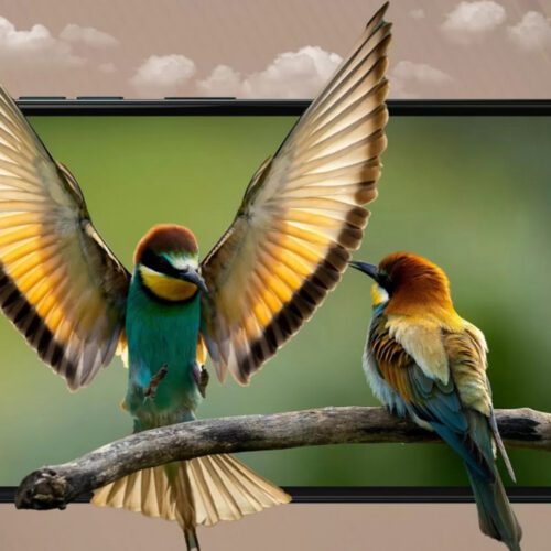 گوشی موتو G05 موتورولا