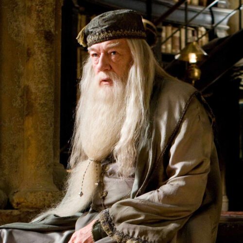 بازیگر دامبلدور در سریال Harry Potter