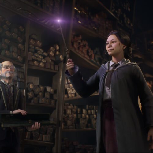 بسته الحاقی Hogwarts Legacy