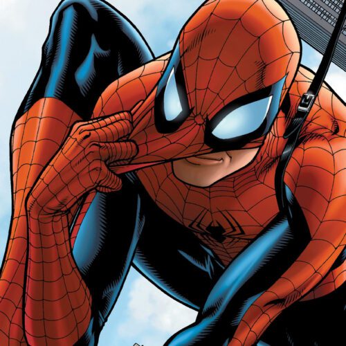 عنوان فیلم Spider-Man: Brand New day