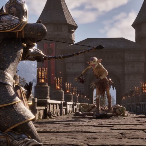 بازیکنان استیم The Elder Scrolls 4