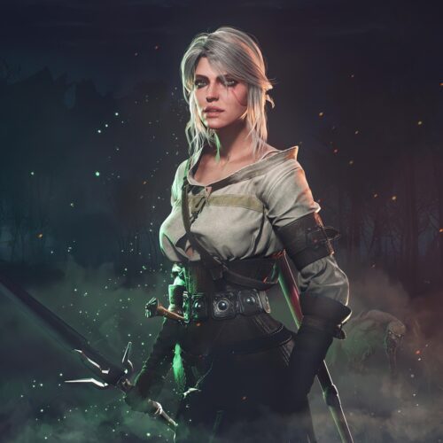 سومین بسته الحاقی Witcher 3