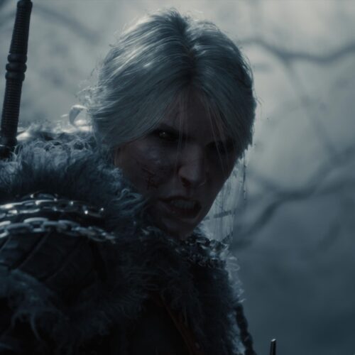 دموی The Witcher 4