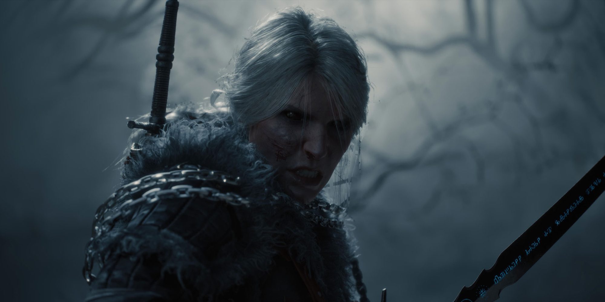 دموی The Witcher 4