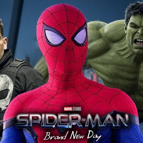 نقش پانیشر در Spider-Man: Brand New Day