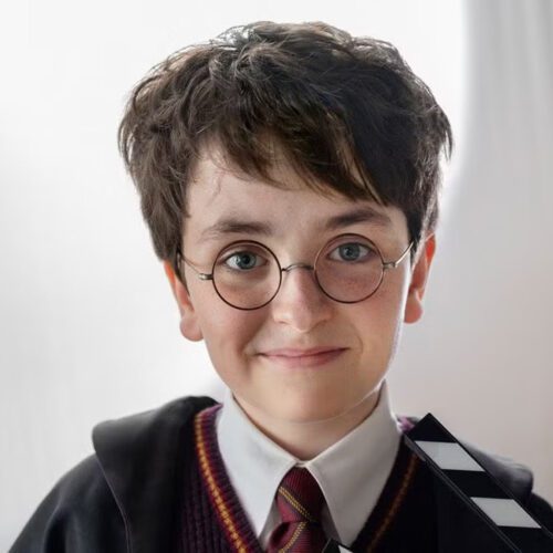 دامبلدور و هری پاتر در سریال Harry Potter