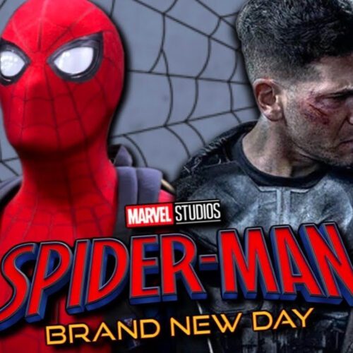 متحد مرموز پانیشر در Spider-Man: Brand New Day
