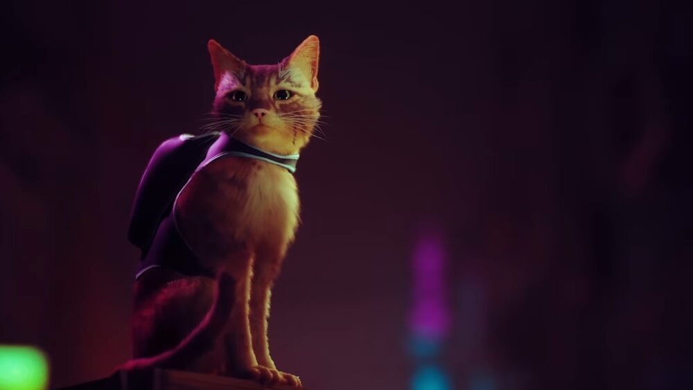 بازی Stray پلی استیشن پلاس