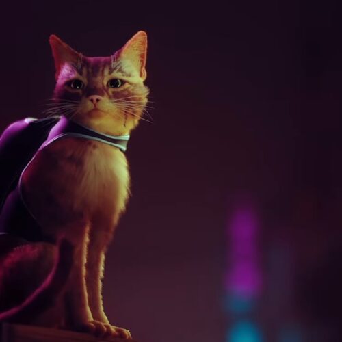 بازی Stray پلی استیشن پلاس