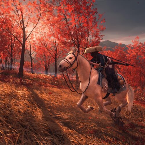 بازی تک نفره پلی استیشن کامپیوتر