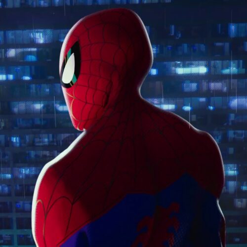 لایو اکشن Spider-Verse اسپایدر ورس