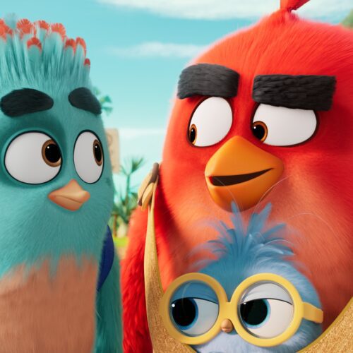 تریلر انگری بردز پرندگان خشمگین ۳ The Angry Birds 3