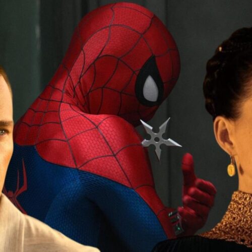 ان هاتاوی Spider-Man: Brand New Day